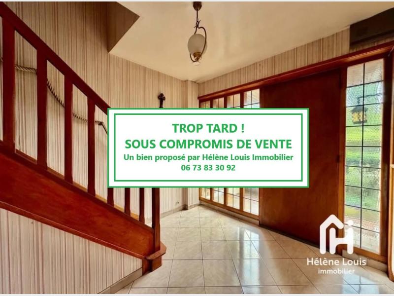 Hallennes230